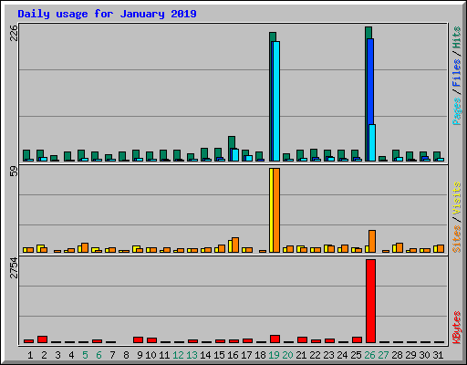 Daily usage for January 2019