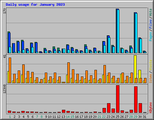 Daily usage for January 2023