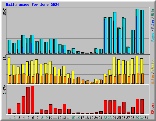 Daily usage for June 2024