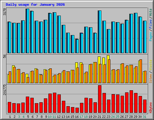 Daily usage for January 2026