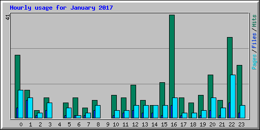 Hourly usage for January 2017