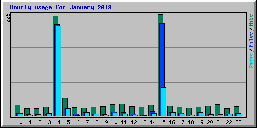 Hourly usage for January 2019