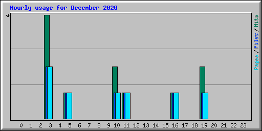 Hourly usage for December 2020