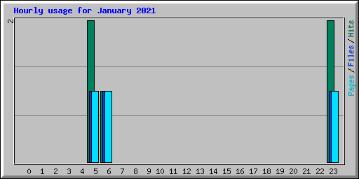 Hourly usage for January 2021