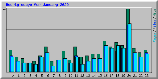 Hourly usage for January 2022
