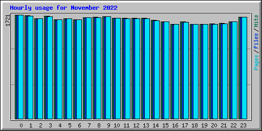 Hourly usage for November 2022