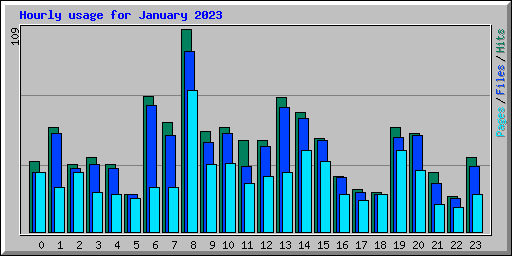 Hourly usage for January 2023