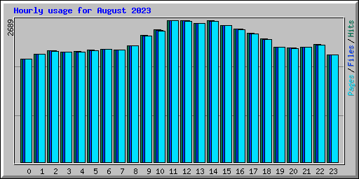 Hourly usage for August 2023