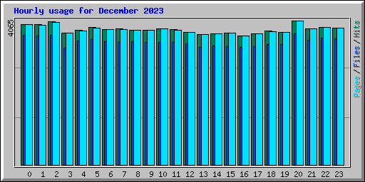 Hourly usage for December 2023