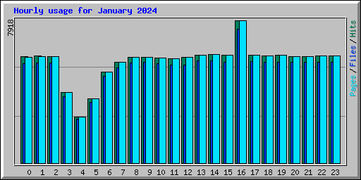Hourly usage for January 2024