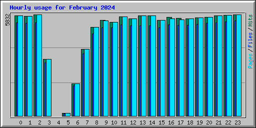 Hourly usage for February 2024