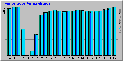 Hourly usage for March 2024
