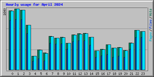 Hourly usage for April 2024