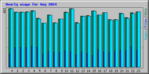 Hourly usage for May 2024