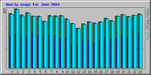 Hourly usage for June 2024