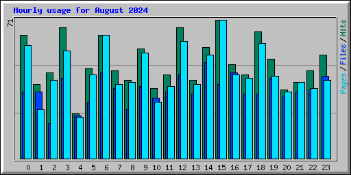 Hourly usage for August 2024