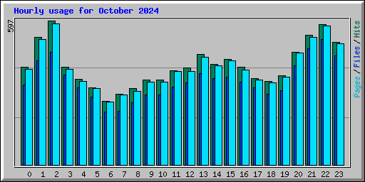 Hourly usage for October 2024