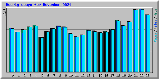 Hourly usage for November 2024