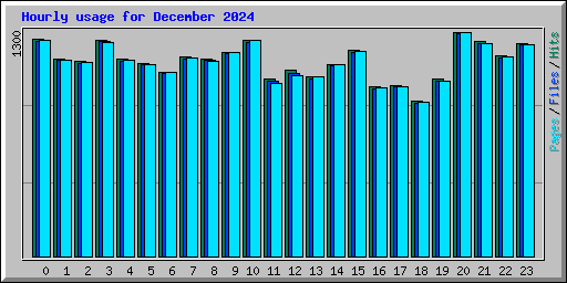 Hourly usage for December 2024