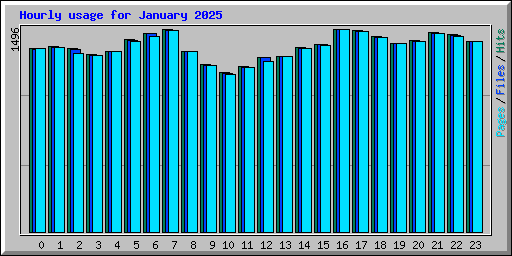 Hourly usage for January 2025