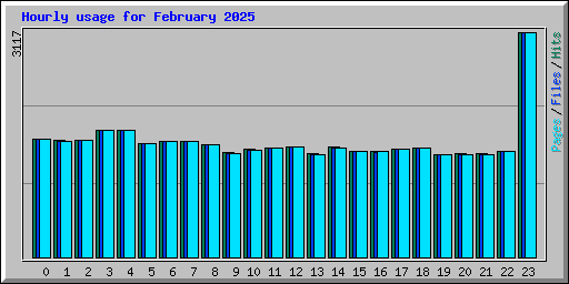 Hourly usage for February 2025