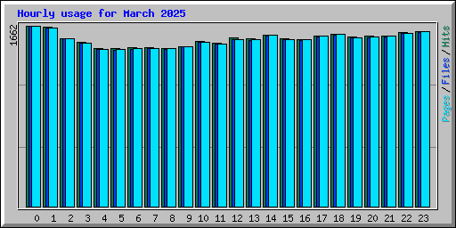 Hourly usage for March 2025