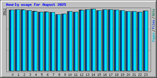 Hourly usage for August 2025