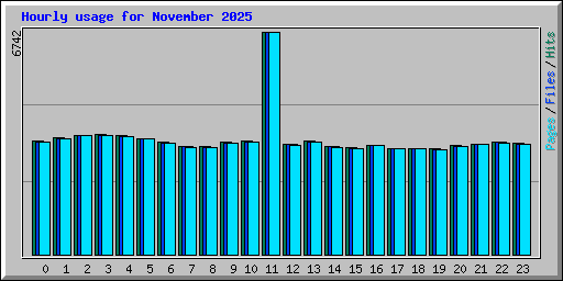 Hourly usage for November 2025