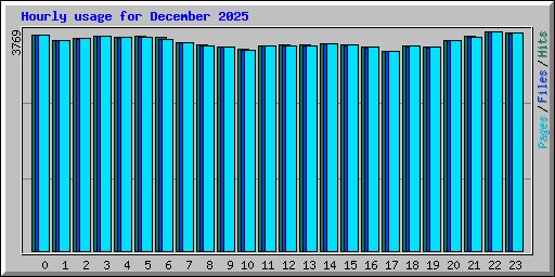 Hourly usage for December 2025