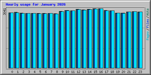Hourly usage for January 2026