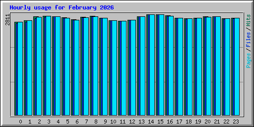 Hourly usage for February 2026